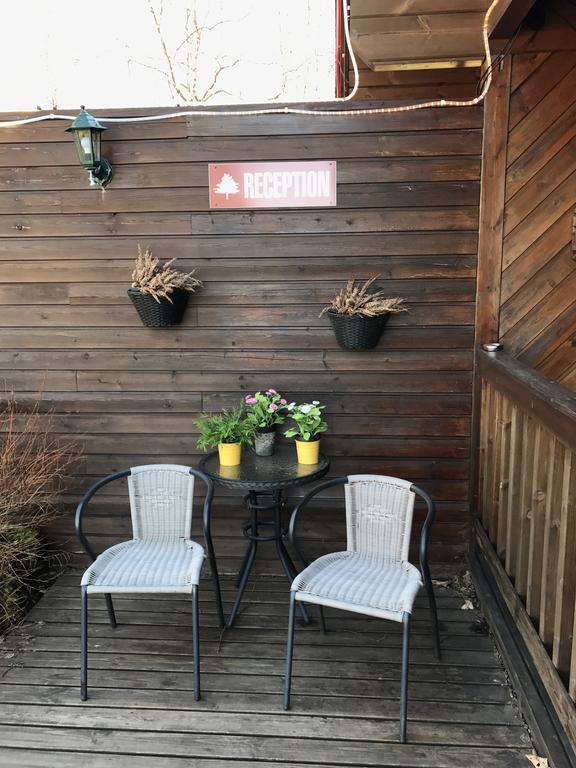 Blue Grove Guesthouse South Iceland Exterior photo