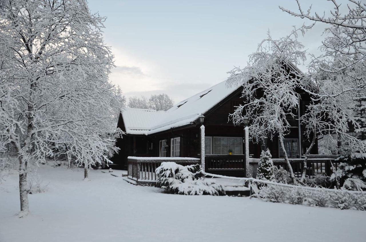 Blue Grove Guesthouse South Iceland Exterior photo